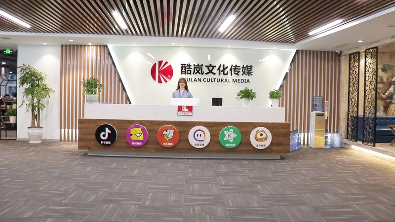 MG动画微课与实拍微课：揭秘两者之间的差异**