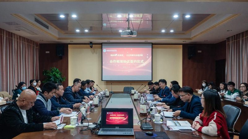 VI设计制作费用的考量因素与误区**
